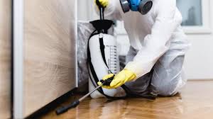 Best Pest Control for Restaurants and Food Service  in Groves, TX